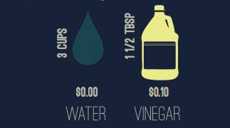 Water & Vinegar Recipe